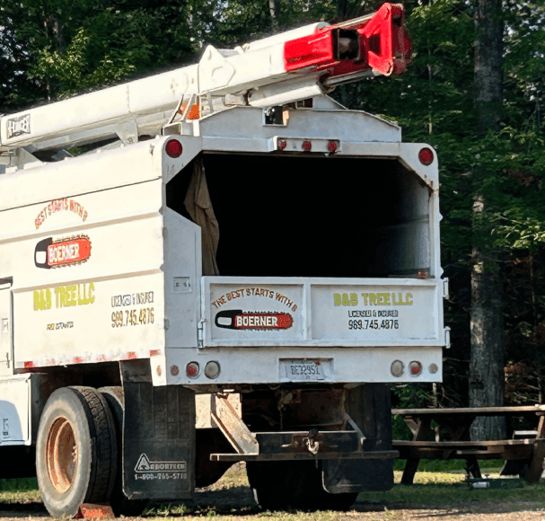 Service Image